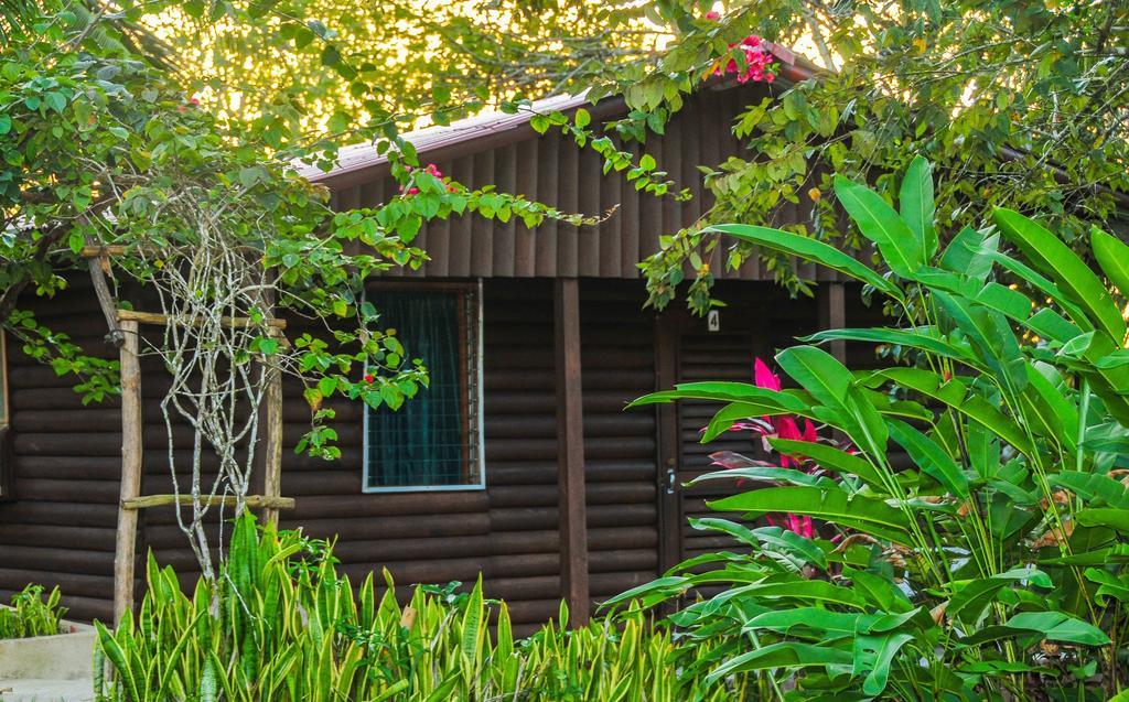 The Log Cab-Inn San Ignacio Dış mekan fotoğraf