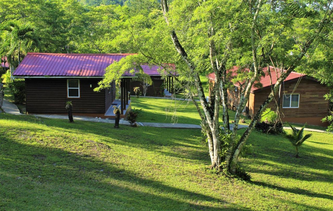 The Log Cab-Inn San Ignacio Dış mekan fotoğraf