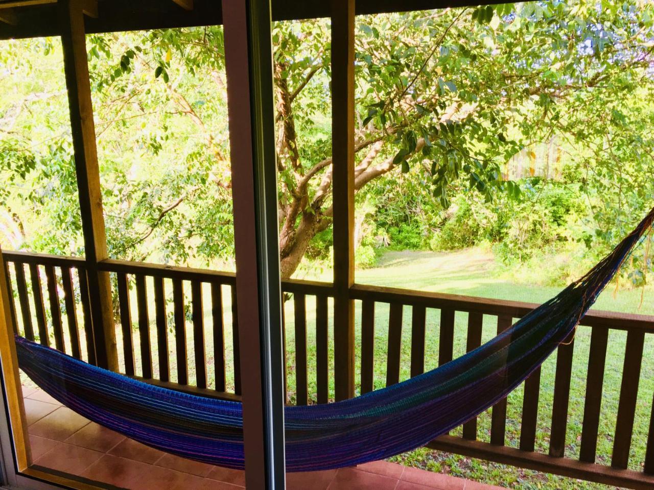 The Log Cab-Inn San Ignacio Dış mekan fotoğraf